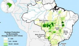 巴西规划爆料最新消息,最新动态揭示未来蓝图