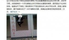 宋先生爆料最新消息新闻,最新热点新闻大揭秘