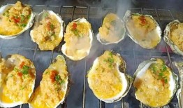 爆料扇贝测评视频大全最新,最新视频大全深度解析