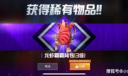 吃鸡新军需爆料最新璀璨流光,吃鸡战场新风尚