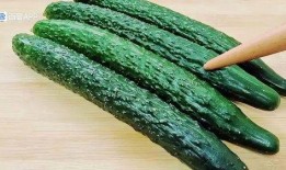 新黄瓜最新爆料视频大全,揭秘幕后真相与精彩瞬间