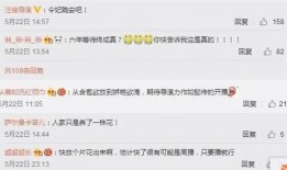 PUPG最新爆料,揭秘游戏新内容与更新计划