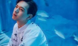 李现最新爆料三亚事件,揭秘背后真相与公众关注焦点